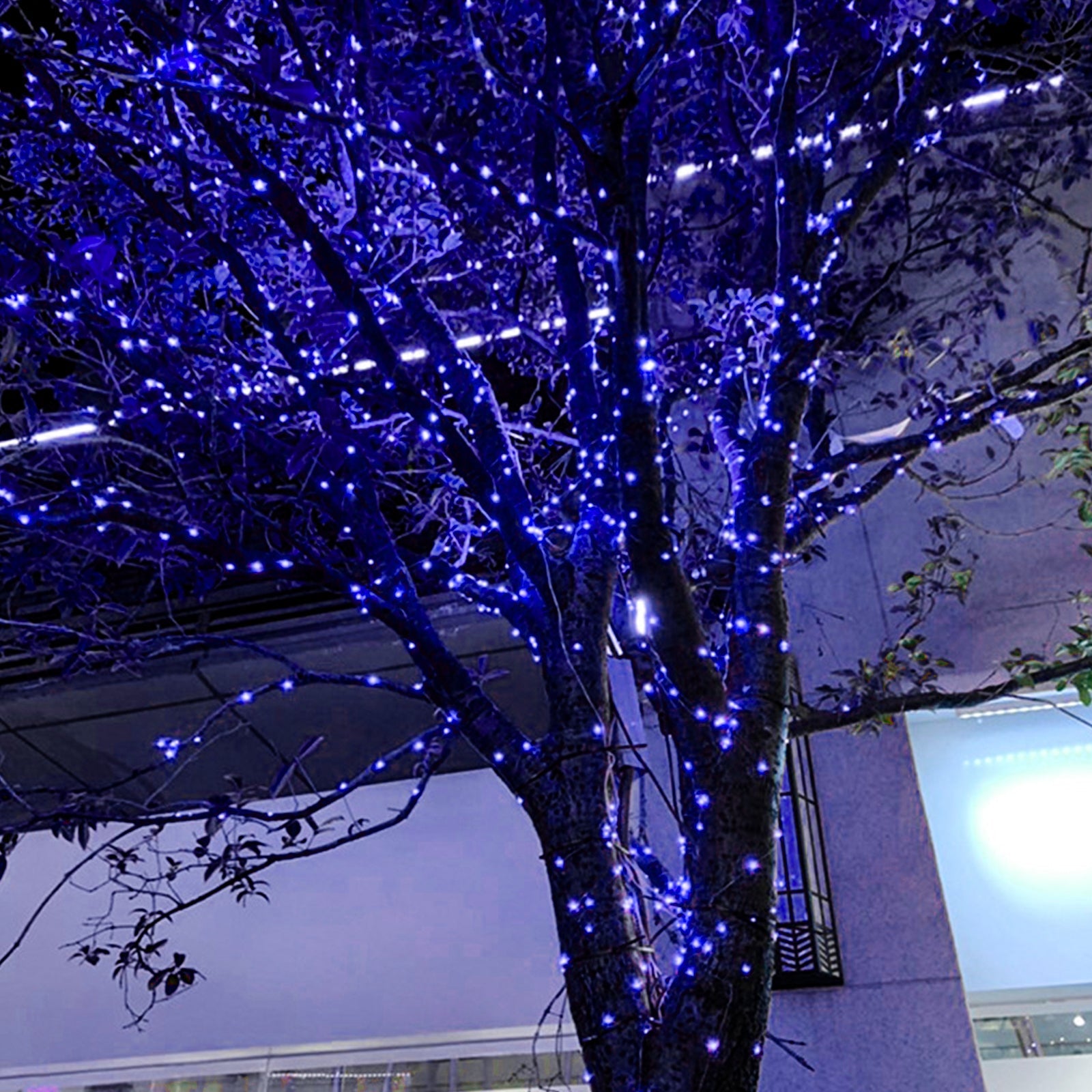 Solar Powered String Lights Decorations