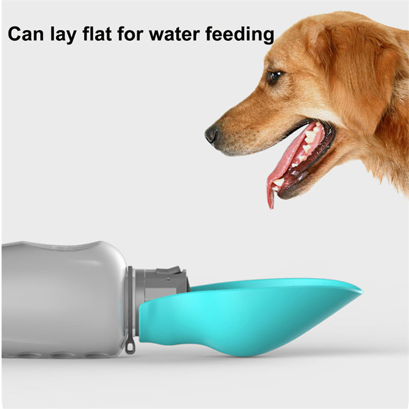 The On-the-Go Pet Water Bottle