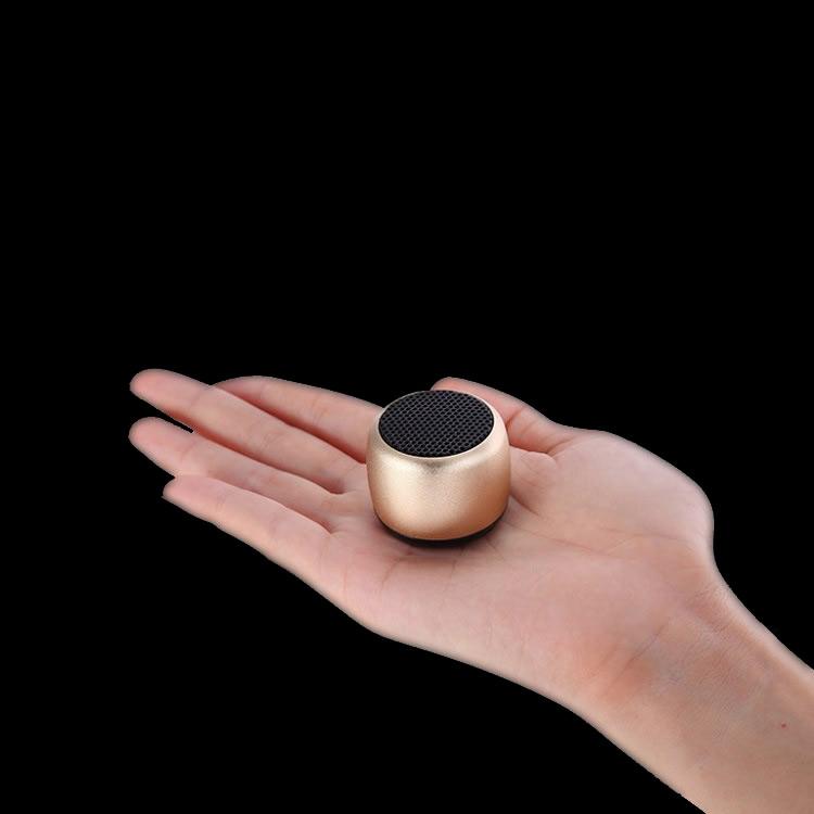 Multi-Connect Bluetooth Speaker